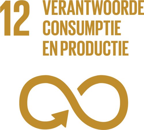 SDG Icon NL 12