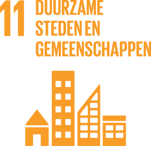SDG Icon NL 11