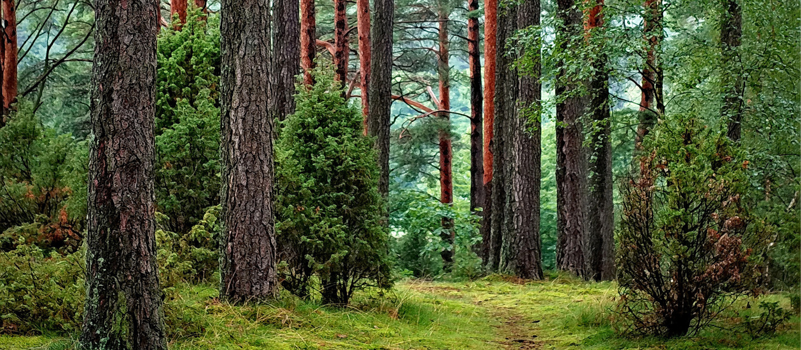 Jaga Climate Designers Imago 006