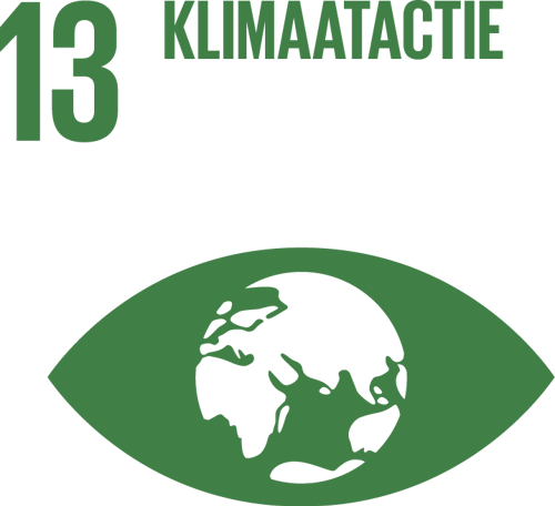 SDG Icon NL 13