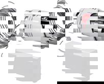 Ds