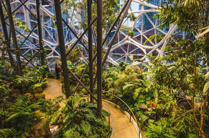 Jaga History 2018 Amazonspheres